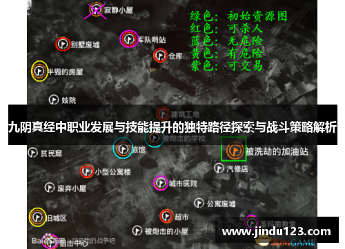 九阴真经中职业发展与技能提升的独特路径探索与战斗策略解析